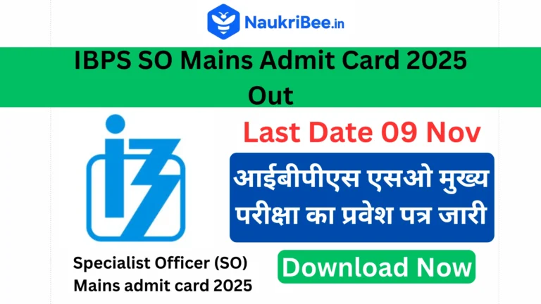 IBPS SO Mains Admit Card 2025