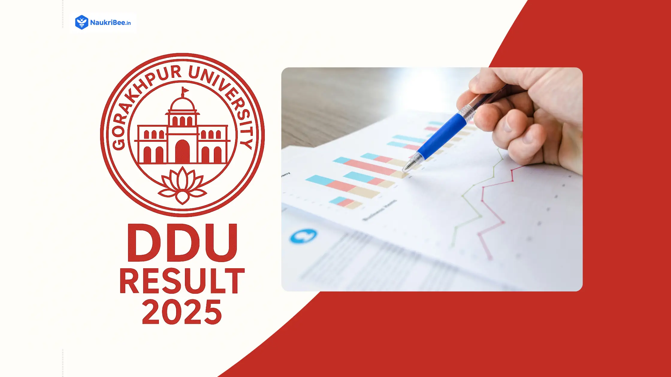 DDU Result 2025